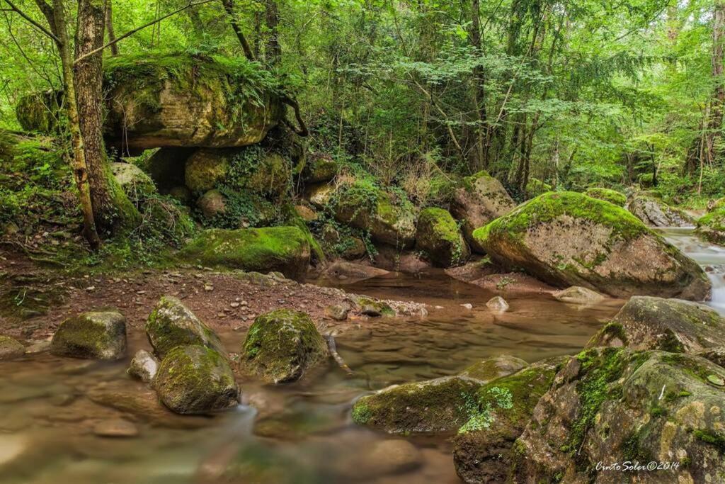 La Badenca. Masia Catalana Del S. XVII Riudaura Exteriör bild